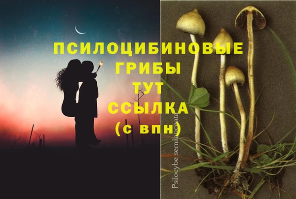 марихуана Абаза