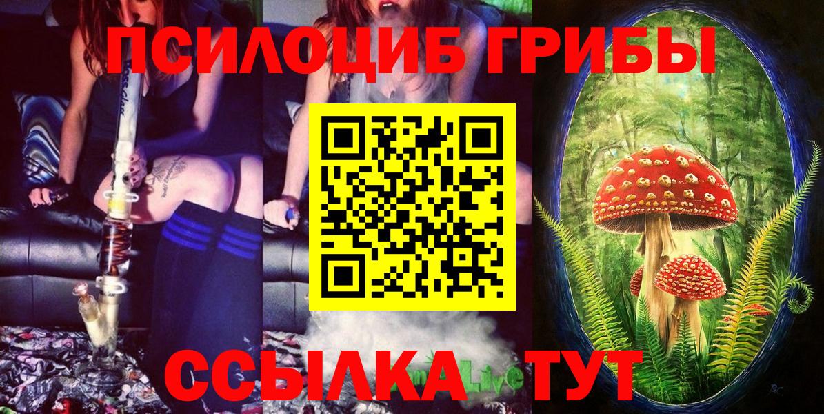 Псилоцибиновые грибы мицелий Юрга