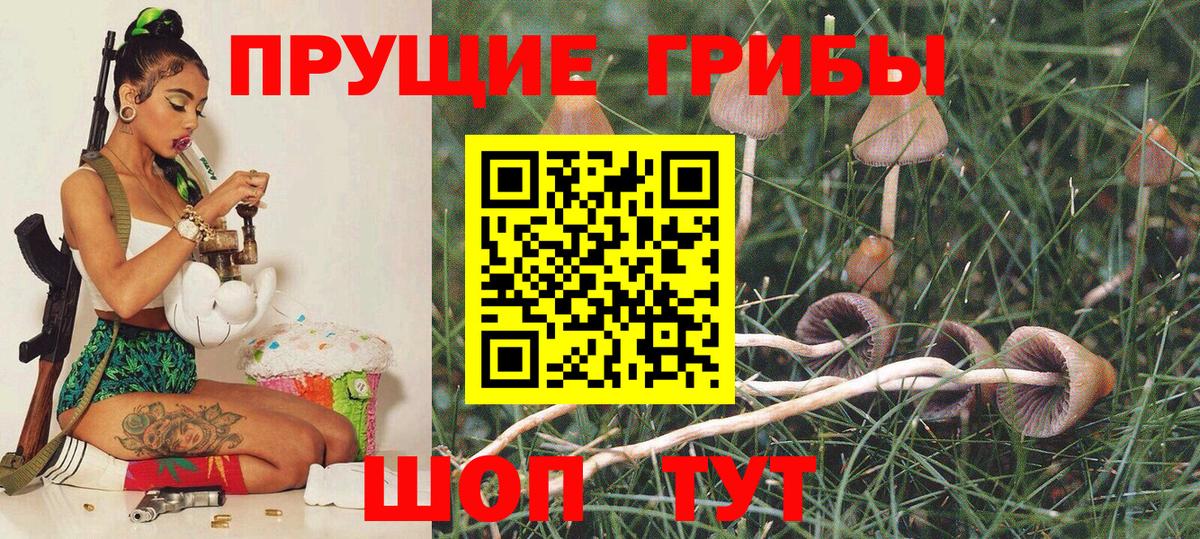Галлюциногенные грибы ЛСД  Вход с VPN  что такое наркотик  Юрга  Псилоцибиновые грибы Psilocybine cubensis 