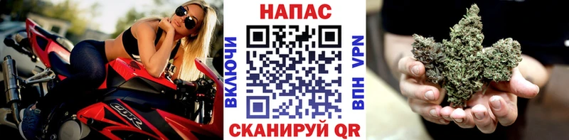 Каннабис SATIVA & INDICA  Юрга 